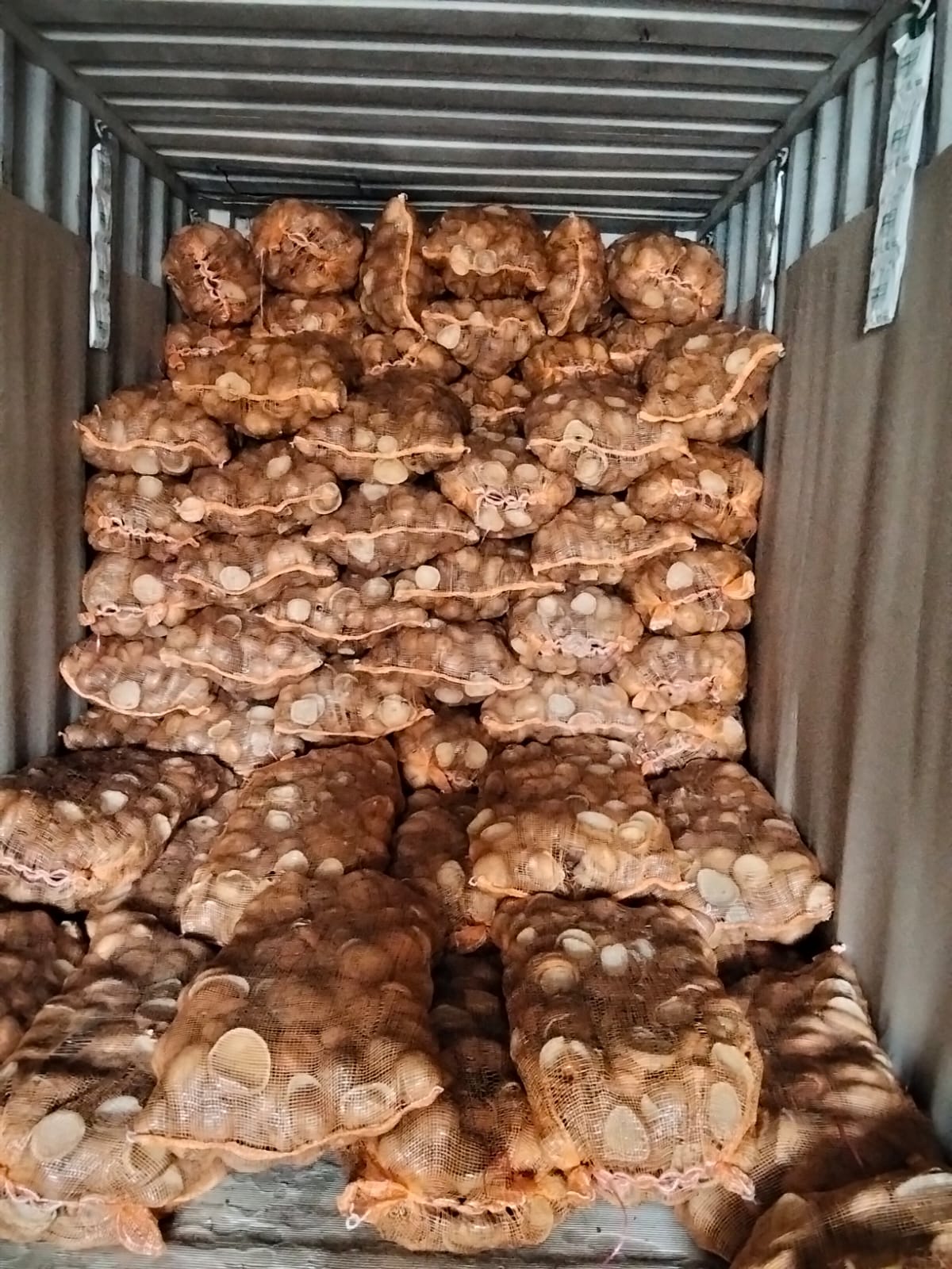 Stuffing Process and Shipping container export