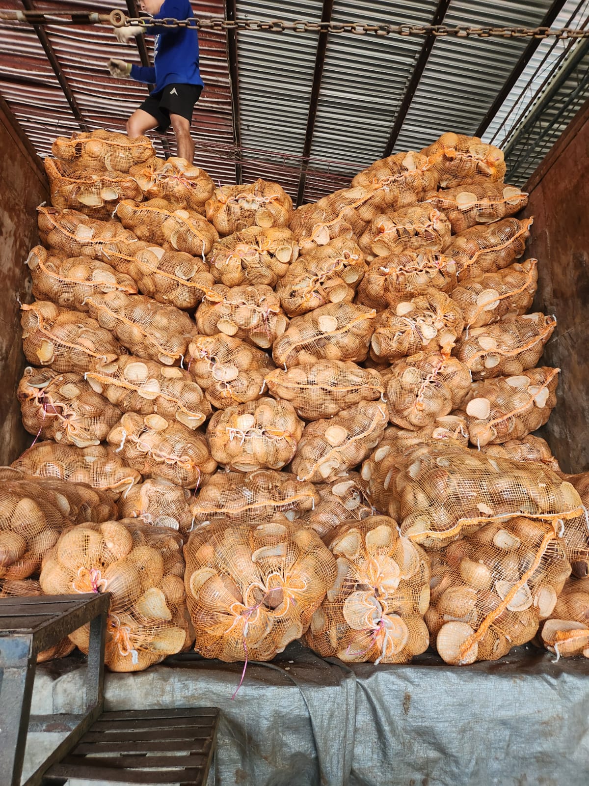 Coconut product stuffing from production site Indonesia